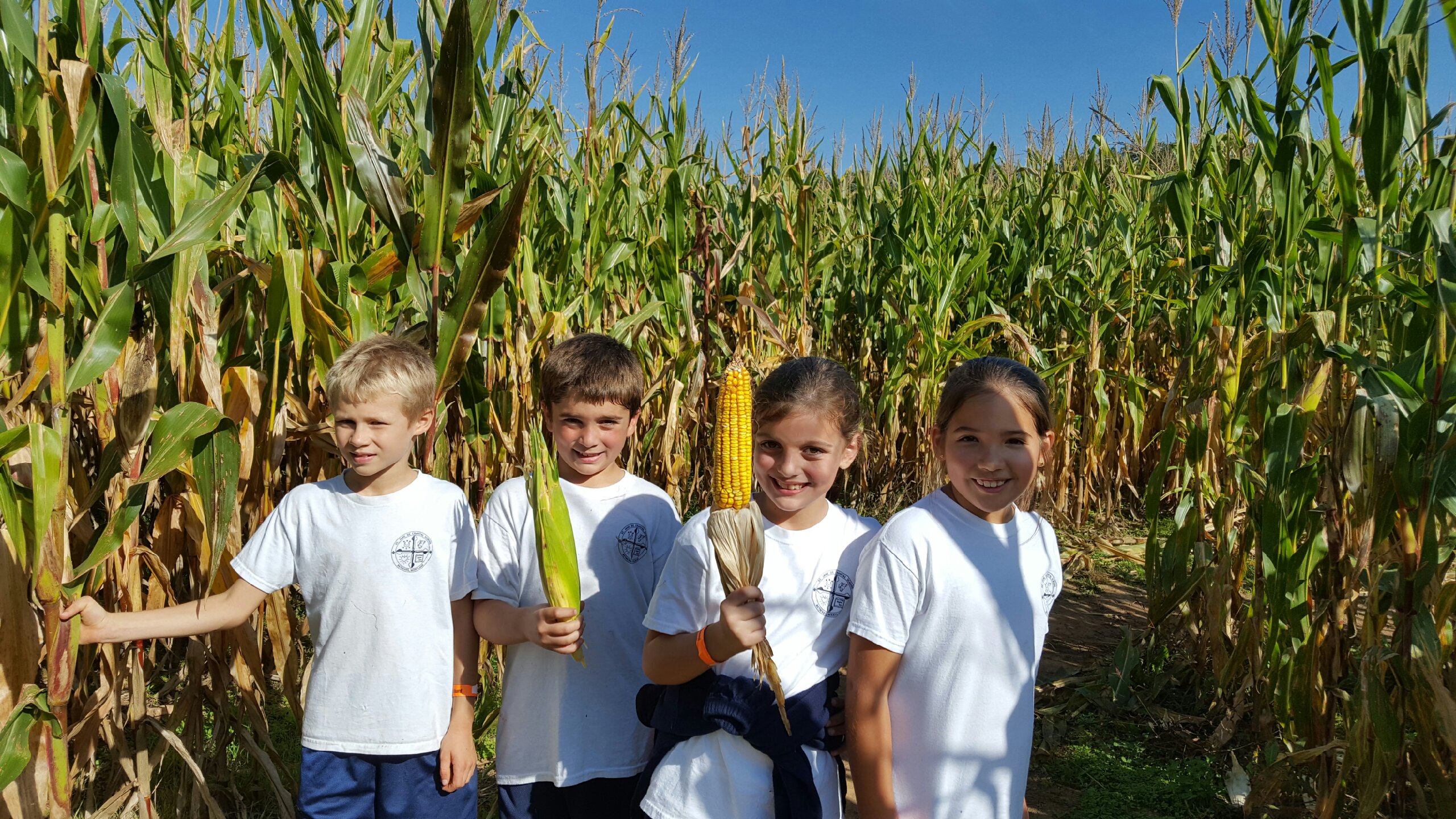 St. Jane de Chantal School Gallery