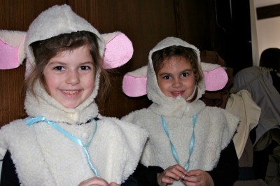 k sheep